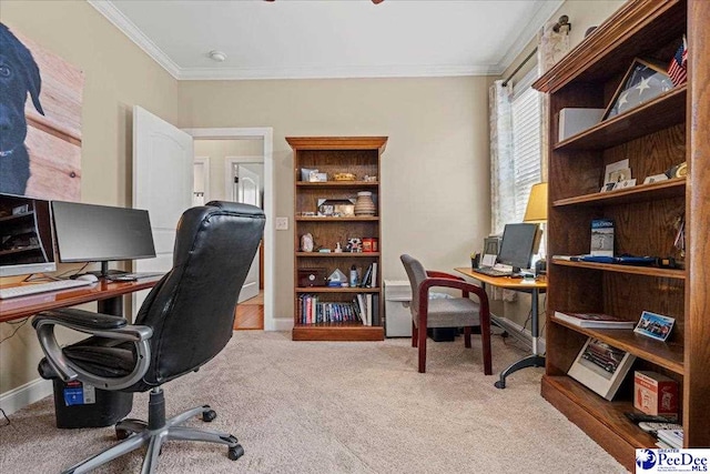 carpeted home office with crown molding