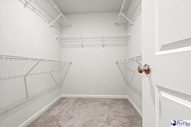 walk in closet featuring light carpet