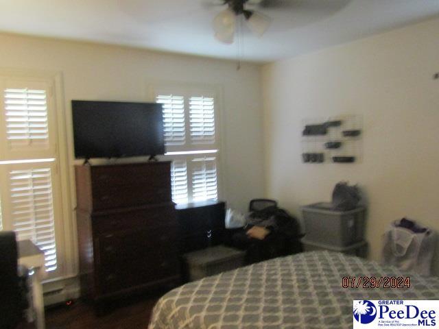 bedroom with ceiling fan