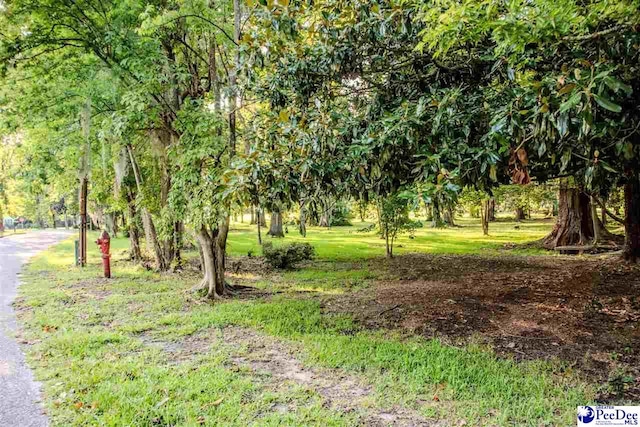 311 Harmon Park Blvd, Marion, SC 29571 - photo 29