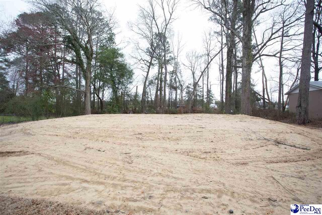 1363 14th St, Hartsville, SC 29550 - photo 5