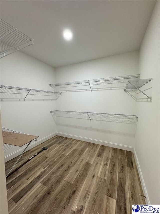 spacious closet featuring wood-type flooring