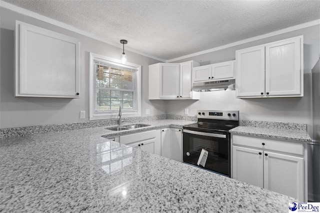 616 Sandra Ter, Florence, SC 29501 - kitchen featuring light stone countertops, stainless steel range with electric cooktop, under cabinet range hood, white cabinetry, and a sink