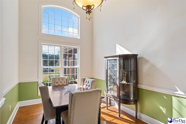 dining space featuring wood-type flooring and a wealth of natural light