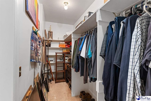 spacious closet featuring light colored carpet