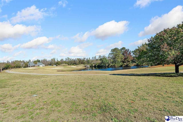 view of property's community featuring a water view and a yard