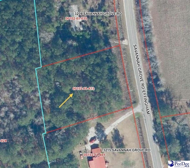 Listing photo 2 for TBD Savannah Grove Rd, Effingham SC 29541