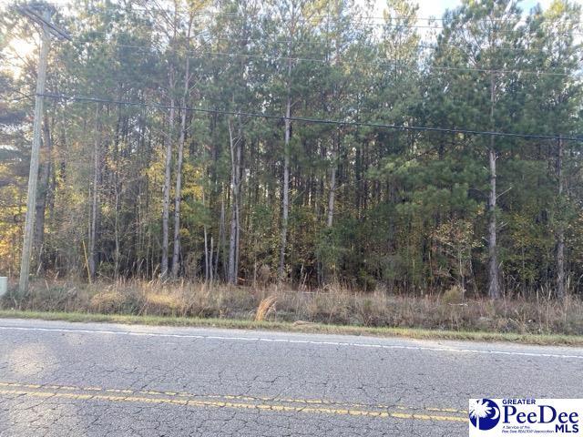 TBD Savannah Grove Rd, Effingham SC, 29541 land for sale