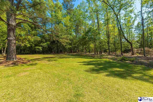 616 Forest Acres Dr, Pamplico, SC 29505 - view of yard featuring a view of trees