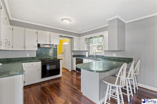 616 Forest Acres Dr, Pamplico, SC 29505 - kitchen with under cabinet range hood, dark wood-style floors, a sink, and black appliances