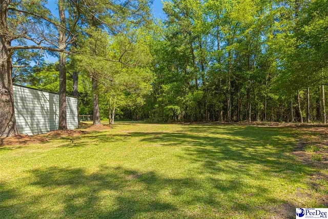 616 Forest Acres Dr, Pamplico, SC 29505 - view of yard with a forest view