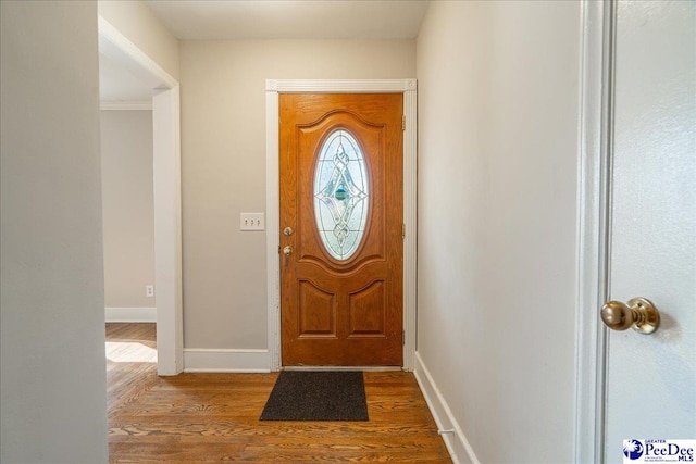 entryway featuring hardwood / wood-style floors