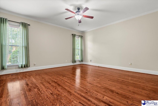 3415 Sussex Ct, Florence, SC 29501 - photo 24