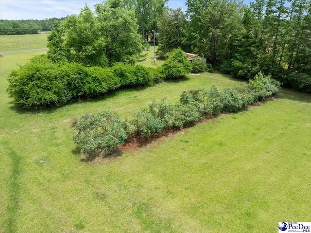 3020 Allen Rd, Effingham, SC 29541 - photo 40