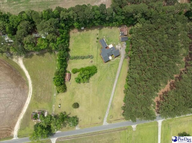 3020 Allen Rd, Effingham, SC 29541 - photo 43