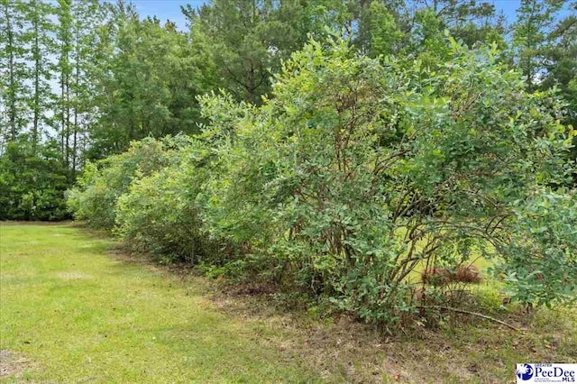 3020 Allen Rd, Effingham, SC 29541 - photo 38