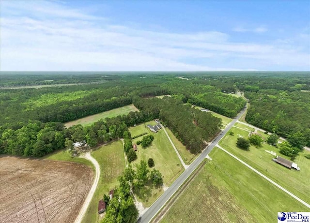 3020 Allen Rd, Effingham, SC 29541 - photo 44
