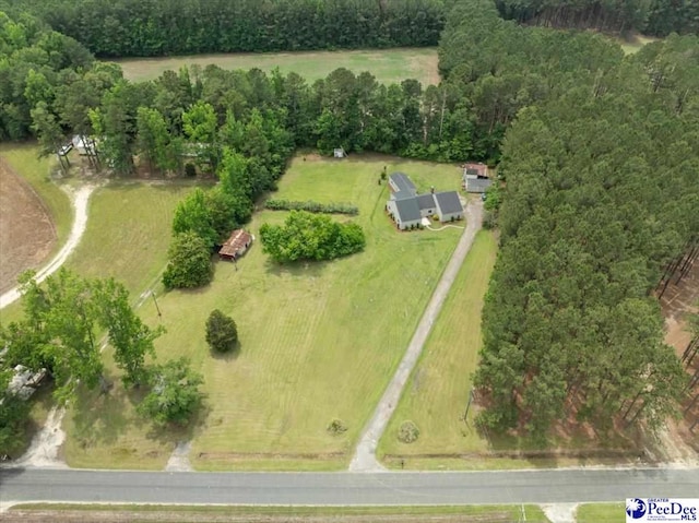 3020 Allen Rd, Effingham, SC 29541 - photo 42