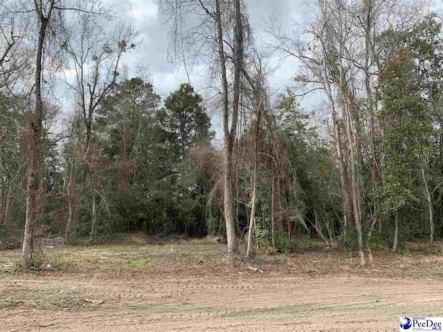 7423 E National Cemetery Rd, Florence, SC 29506 - view of wooded area
