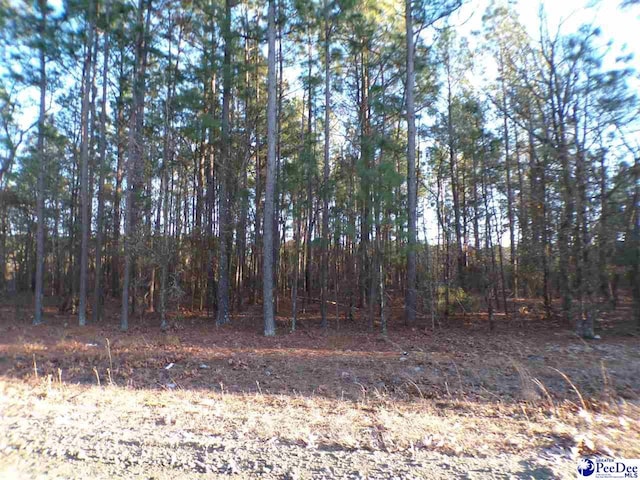 Listing photo 2 for LOT21 Skylite Dr, Dillon SC 29536