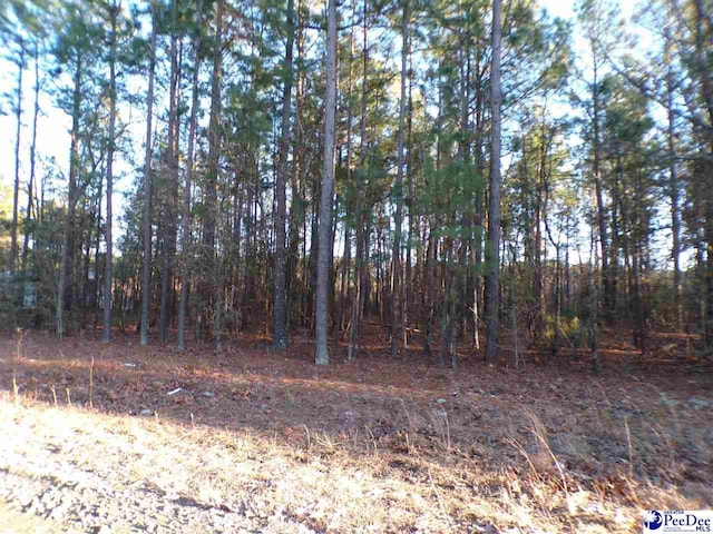 LOT21 Skylite Dr, Dillon SC, 29536 land for sale