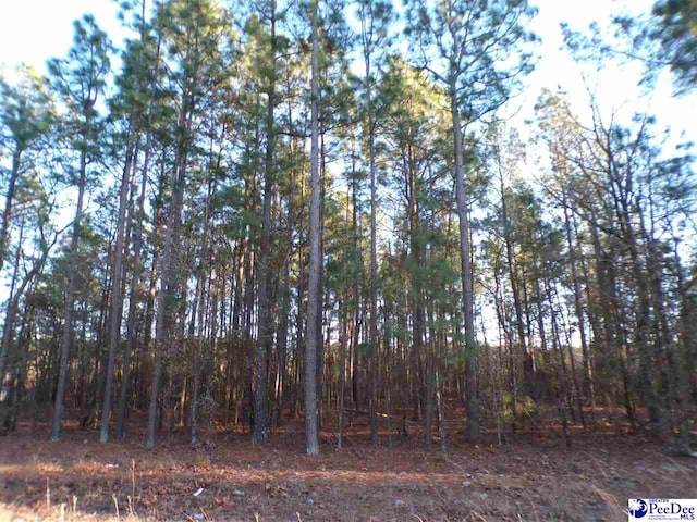 Listing photo 3 for LOT21 Skylite Dr, Dillon SC 29536