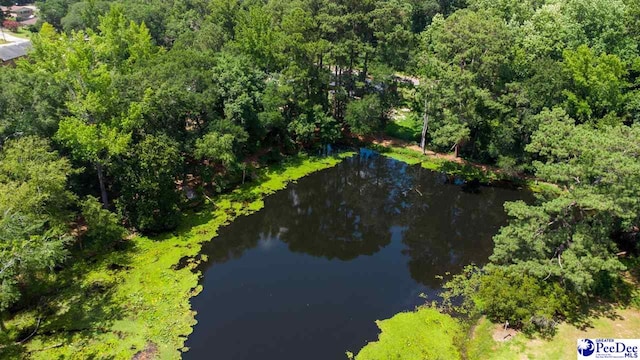 109 Grace St, Darlington, SC 29532 - photo 45
