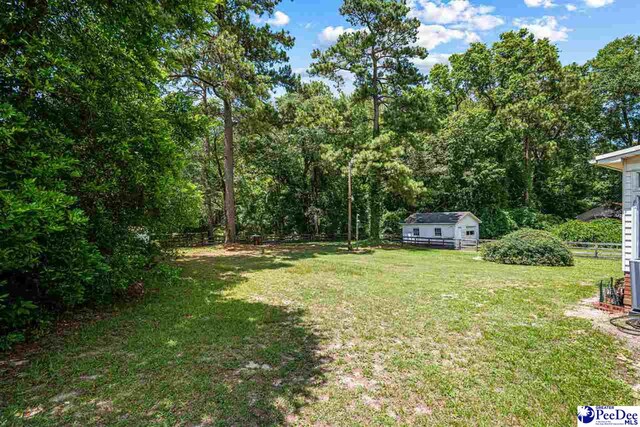 109 Grace St, Darlington, SC 29532 - photo 40