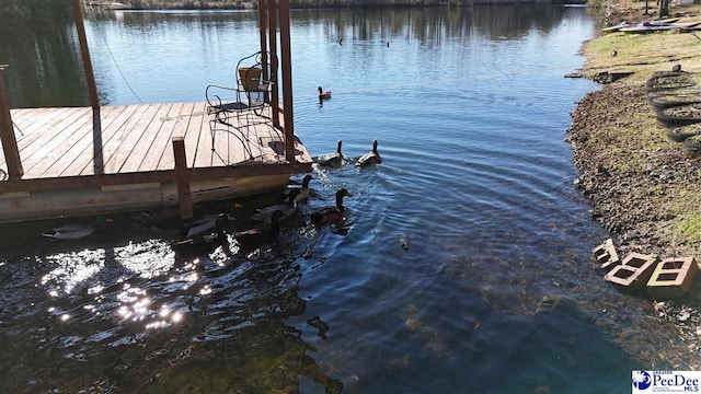 view of dock with a water view