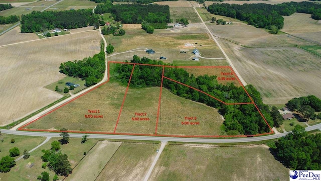 TBD Hoffmeyer Rd, Darlington, SC 29532 - photo 1