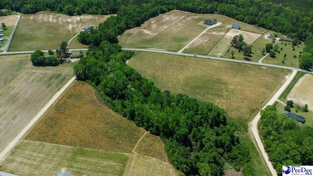 TBD Hoffmeyer Rd, Darlington, SC 29532 - photo 6