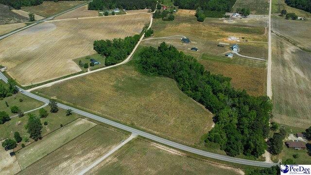TBD Hoffmeyer Rd, Darlington, SC 29532 - photo 9
