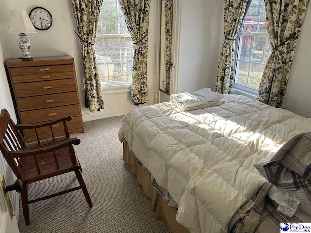 view of carpeted bedroom