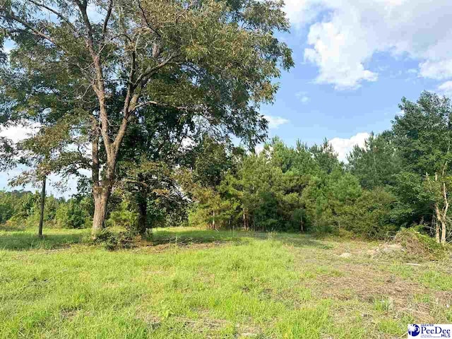 4088 Cherry Johnson Rd, Effingham, SC 29541 - photo 4