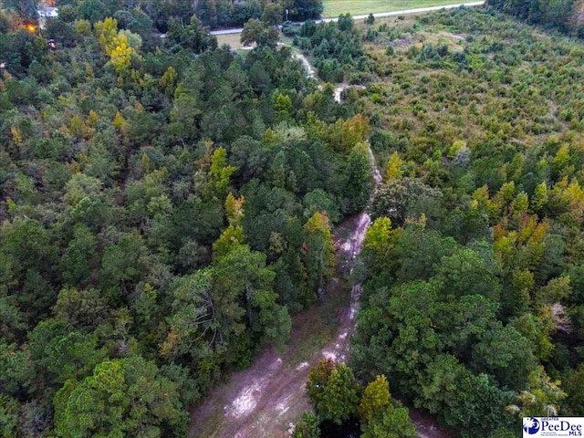 4088 Cherry Johnson Rd, Effingham, SC 29541 - photo 7