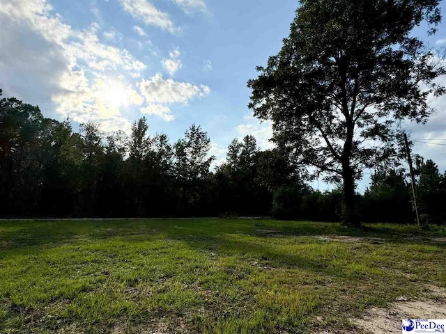 4088 Cherry Johnson Rd, Effingham, SC 29541 - photo 2