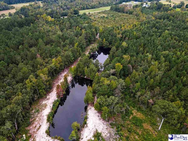 4088 Cherry Johnson Rd, Effingham, SC 29541 - photo 11