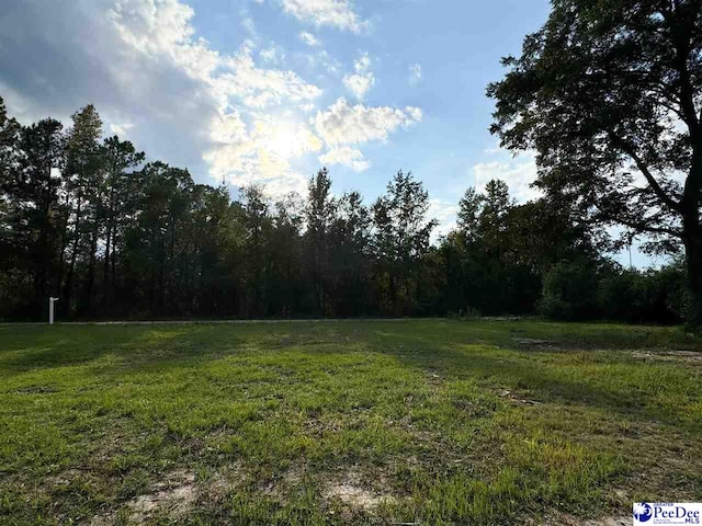4088 Cherry Johnson Rd, Effingham, SC 29541 - photo 5