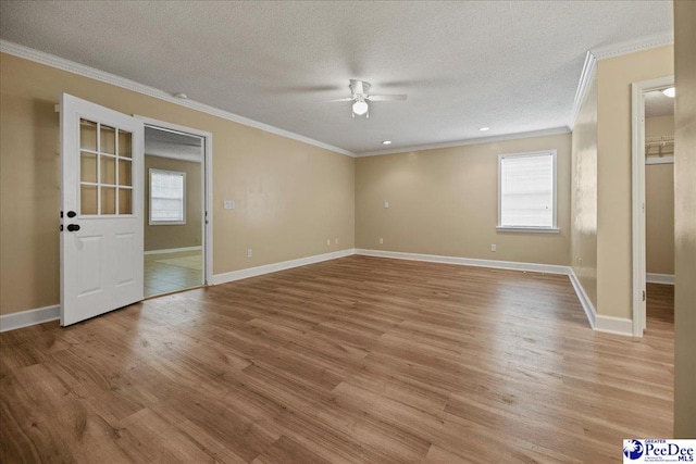 838 Greenwing Teal, Florence, SC 29505 - interior space featuring a healthy amount of sunlight, ceiling fan, and ornamental molding