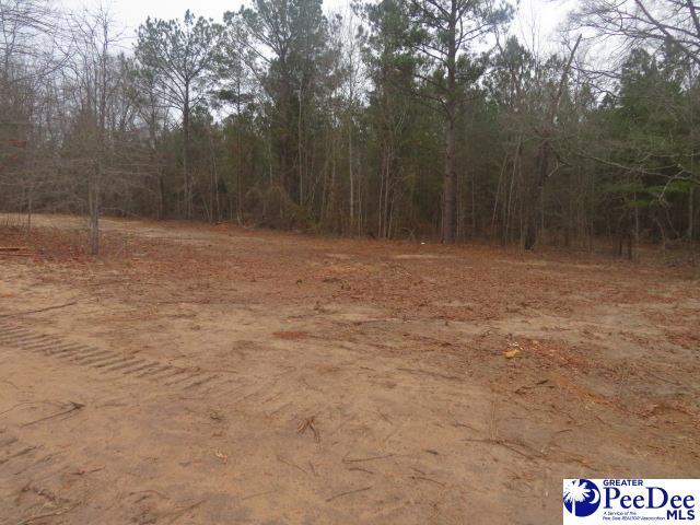 2812 New Market Rd, Hartsville SC, 29550 land for sale