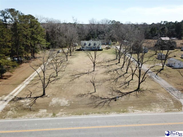1122 Olanta Hwy, Effingham, SC 29541 - photo 31