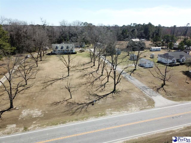 1122 Olanta Hwy, Effingham, SC 29541 - photo 51