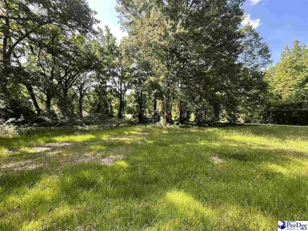 475 Third Ave, Bennettsville, SC 29512