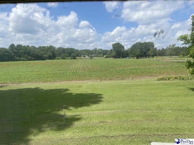 view of yard with a rural view