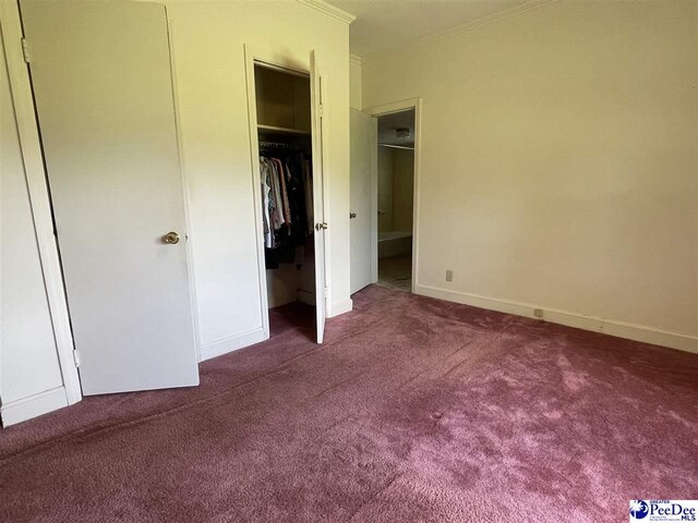 unfurnished bedroom with a walk in closet, ornamental molding, a closet, and dark colored carpet