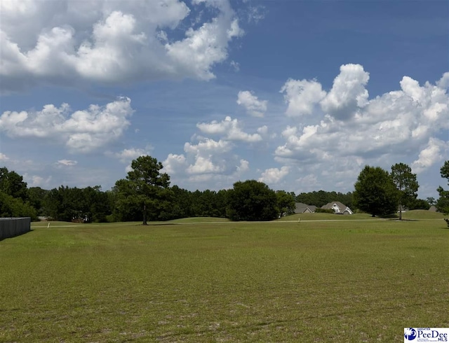 LOT5 Southborough Rd, Darlington, SC 29532 - photo 3