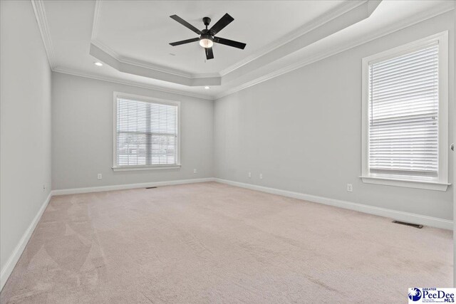716 Lindsey Dr, Florence, SC 29501 - spare room featuring ornamental molding, a raised ceiling, light colored carpet, ceiling fan, and baseboards