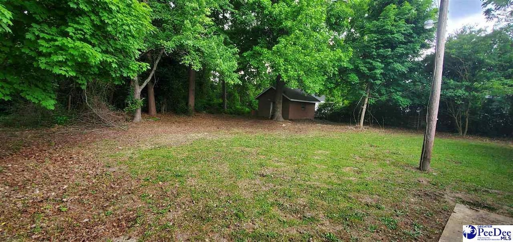 1212 Tator House Rd, Bennettsville, SC 29512 - view of grassy yard