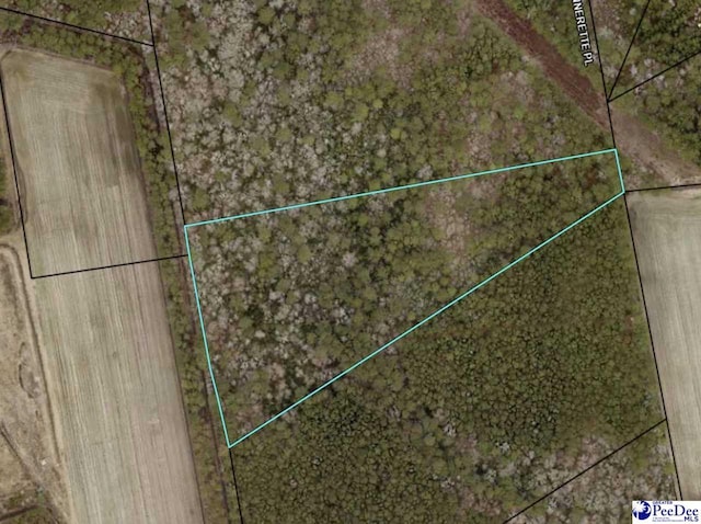 TBDJenerette Pl, Hemingway SC, 29554 land for sale