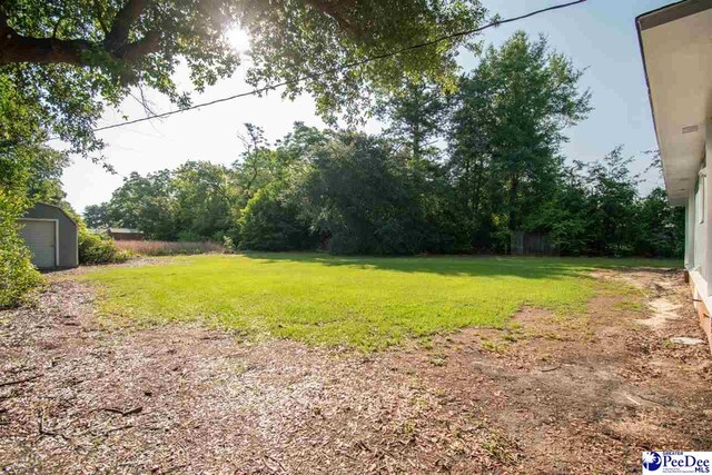 4028 Leviner Rd, Wallace, SC 29596 - photo 42